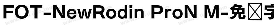 FOT-NewRodin ProN M字体转换